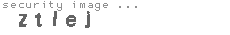 security image
