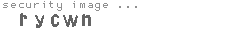 security image