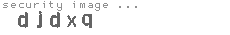 security image