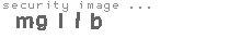 security image