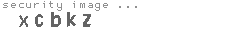 security image