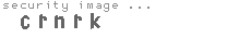 security image
