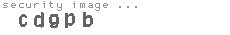 security image