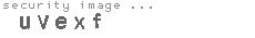 security image