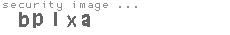 security image