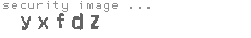 security image