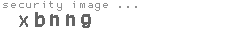 security image