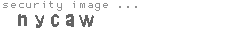security image