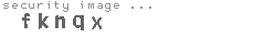 security image