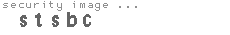 security image