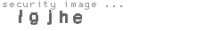 security image