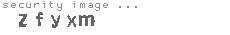 security image