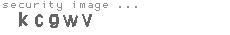 security image