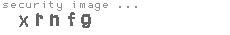 security image