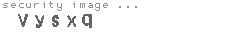 security image