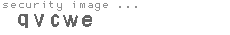security image