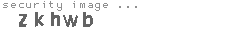 security image