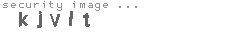 security image
