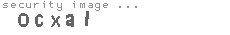 security image