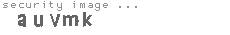 security image