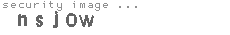 security image