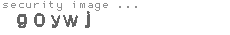 security image