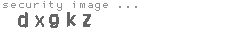 security image
