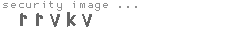 security image