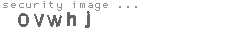 security image