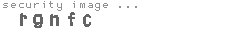 security image