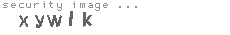 security image