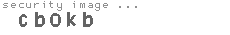 security image