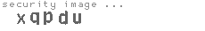 security image