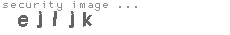 security image