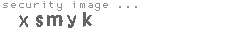 security image