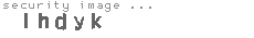 security image