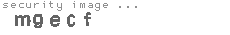 security image