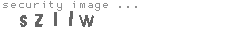 security image