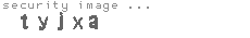 security image