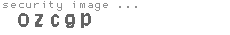 security image