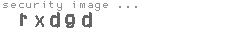 security image