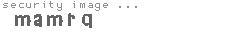 security image
