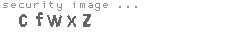 security image
