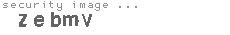 security image