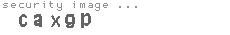 security image