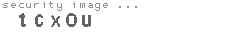 security image