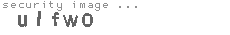 security image