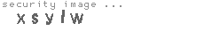 security image