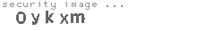 security image