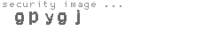 security image
